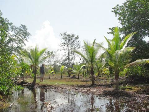 Недвижимость в Панаме - остров на продажу (10 гектар) в архепелаге Бокас Дэль Торо в Атлантическом океане