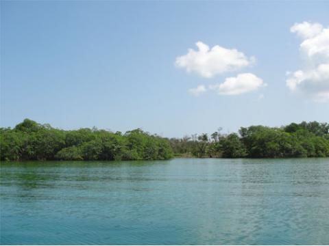 Недвижимость в Панаме - остров на продажу (10 гектар) в архепелаге Бокас Дэль Торо в Атлантическом океане